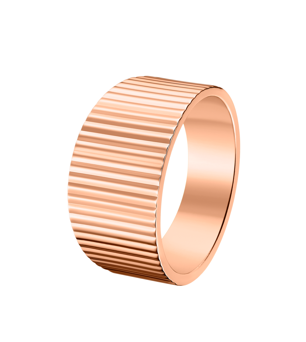 Edelstahlring APSE9233